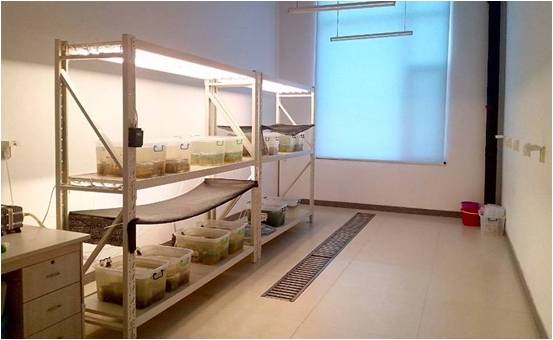 牟平海岸带环境综合试验站建成首个室内模拟实验室